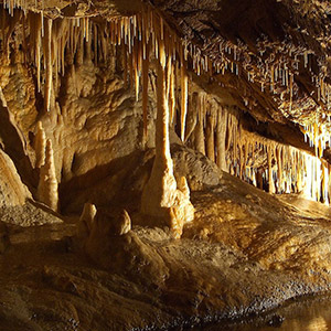 Jaskinia Niedźwiedzia - Kletno