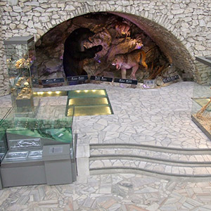 Jaskinia Niedźwiedzia - Kletno