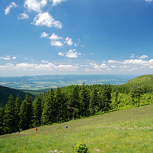 Schronisko na Śnieżniku - Hala pod Śnieżnikiem