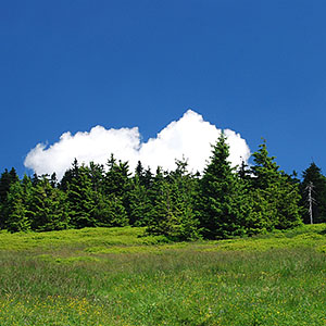 Schronisko na Śnieżniku - Hala pod Śnieżnikiem