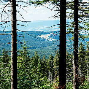 Śnieżnicki Park Krajobrazowy