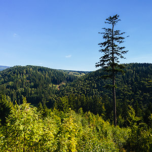 Śnieżnicki Park Krajobrazowy