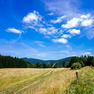 Śnieżnicki Park Krajobrazowy