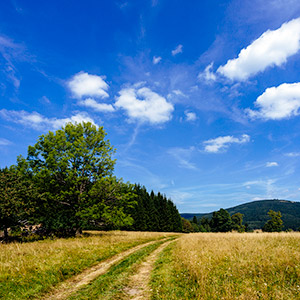 Śnieżnicki Park Krajobrazowy