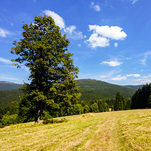 Śnieżnicki Park Krajobrazowy