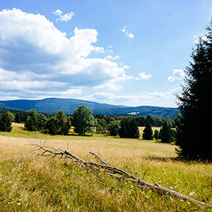 Śnieżnicki Park Krajobrazowy