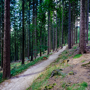 Śnieżnicki Park Krajobrazowy