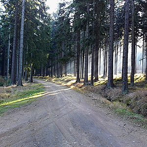Śnieżnicki Park Krajobrazowy