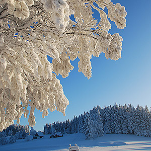 Śnieżnicki Park Krajobrazowy