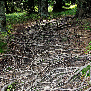 Śnieżnicki Park Krajobrazowy