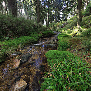 Śnieżnicki Park Krajobrazowy