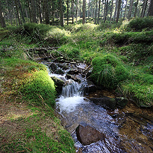 Śnieżnicki Park Krajobrazowy