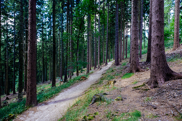 Śnieżnicki Park Krajobrazowy