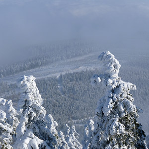 Wieża widokowa - Czarna Góra
