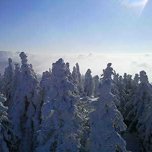 Wieża widokowa - Czarna Góra