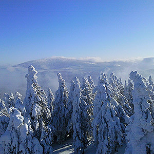 Wieża widokowa - Czarna Góra