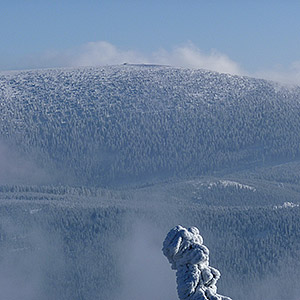 Wieża widokowa - Czarna Góra