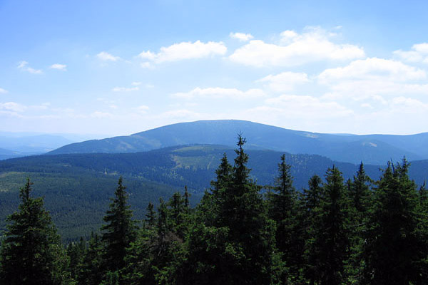 Wieża widokowa - Czarna Góra