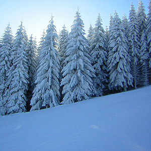 Ośrodek Górski - Czarna Góra