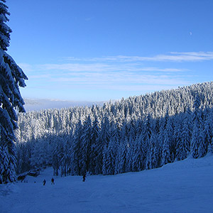 Ośrodek Górski - Czarna Góra
