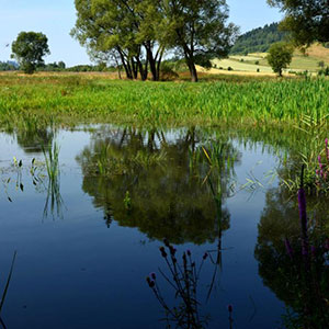 Pokoje gościnne Paweł Jurkiewicz