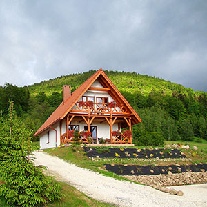 Alpejka - Domek górski