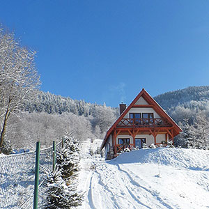 Źródełko i Dzika Stokrotka - Domki w górach