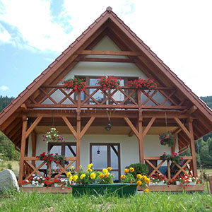 Źródełko i Dzika Stokrotka - Domki w górach