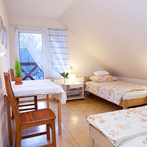 Źródełko i Dzika Stokrotka - Domki w górach