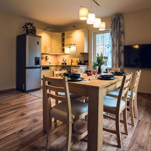 Apartament Śnieżny - Międzygórze