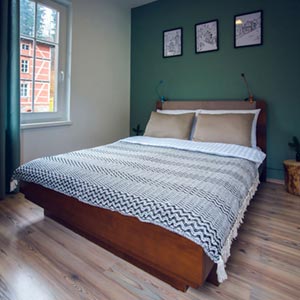 Apartament Śnieżny - Międzygórze