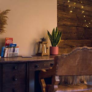 Apartament Śnieżny - Międzygórze