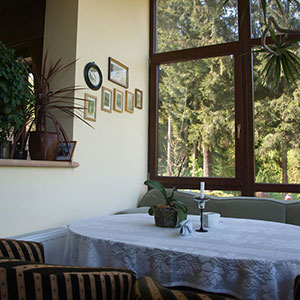 Willa pod dobrym humorem - Międzygórze