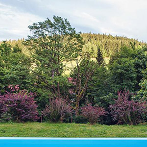 Sienna Domek Górski