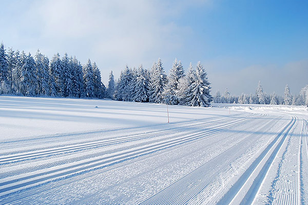 Narty biegowe - sport i rekreacja
