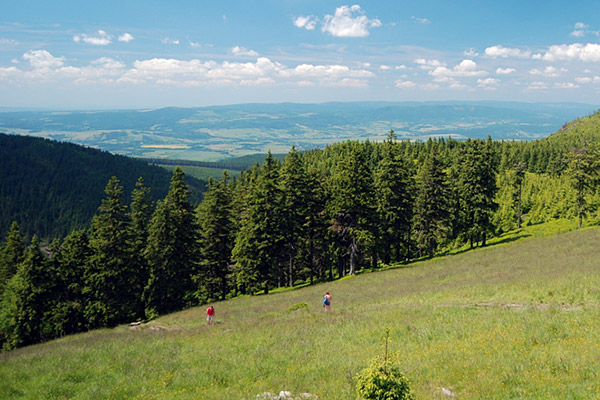 Jaskinia Niedźwiedzia - Kletno