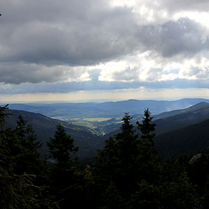 Górski Bieg Śnieżnicki