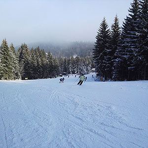 Co nowego - czarnagora.com.pl