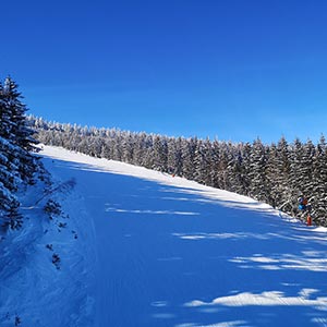 Działamy znowu - Czarna Góra i Masyw Śnieżnika