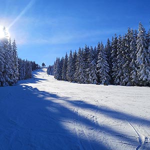 Działamy znowu - Czarna Góra i Masyw Śnieżnika