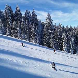 Działamy znowu - Czarna Góra i Masyw Śnieżnika