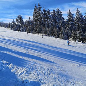 Działamy znowu - Czarna Góra i Masyw Śnieżnika