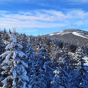 Działamy znowu - Czarna Góra i Masyw Śnieżnika