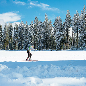 Czarna Góra i Masyw Śnieżnika