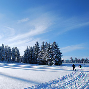 Czarna Góra i Masyw Śnieżnika