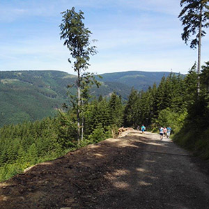 Sezon letni - Czarna Góra i Masyw Śnieżnika
