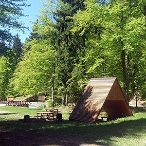 Czarna Góra i Masyw Śnieżnika