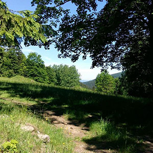 Czarna Góra i Masyw Śnieżnika