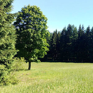 Czarna Góra i Masyw Śnieżnika