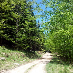 Czarna Góra i Masyw Śnieżnika